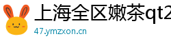 上海全区嫩茶qt2025海选经纪人